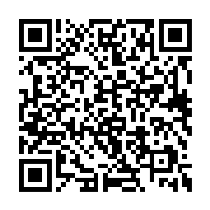 其实雨果和恩斯特的关系并没有什么太大的变化二维码生成