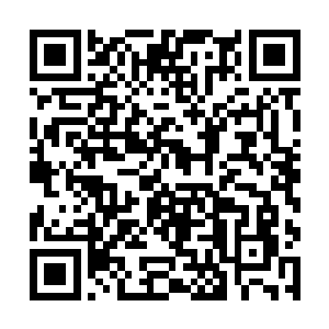 其实雨果有那么一瞬间犹豫过要不要报出自己的名号二维码生成