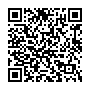 其实顾倾欢想过很多种与楚念歌父母见面的方式二维码生成