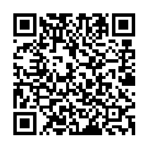 其实马丁对布拉德的规划和当初朗对雨果的规划有异曲同工之妙二维码生成