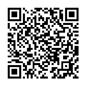 其实高扬也是第一次见他辛苦找来的这些炮兵是如和运作的二维码生成