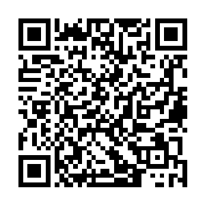 其战力大概已经等同于十瓣层次普通下位古神的随手一击二维码生成
