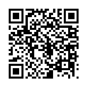 其所归属家族是翡翠国三大家族之一的王家二维码生成