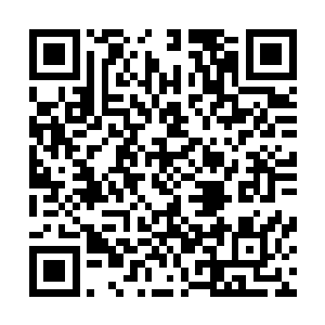 其所领的关家军将士似乎也被司马师这股刚烈的血气所感染二维码生成