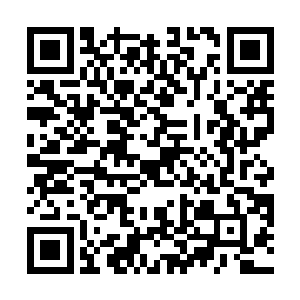 其手中的树枝竟然以极快的速度避开了银针针线的防守二维码生成
