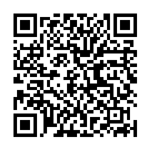 其损失就比重活之前的那个历史空间里发生的要小得多二维码生成