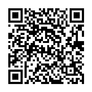 其次才是白色的脸――这是一颗颇为标准的三花猫的头二维码生成