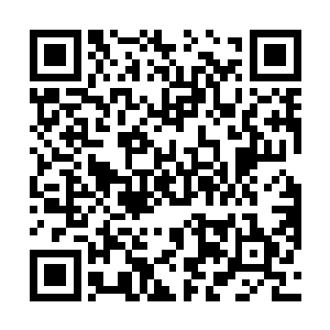 其次是一股更加庞大的力量顺着本尊分身神魂间的联系二维码生成