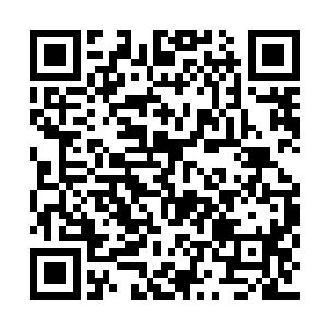 其王者和祭司就明令规定过骨器只能取死者之骨二维码生成