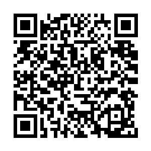 其珍贵程度即便是那些高级光明神丹也略有不如二维码生成