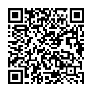 其目的也不是为了功绩而是想要潜入药炉打探徐福的情况二维码生成