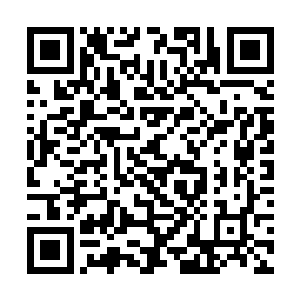 其目的就是为了让其他同伴可以去接近谢文东和黛米二维码生成