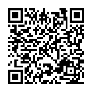 其神经反应速度和身体协调能力都是一等一的出色二维码生成