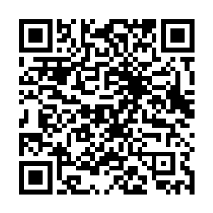 其空间的宽阔程度很容易让秦宇等人联想到古代的校场二维码生成