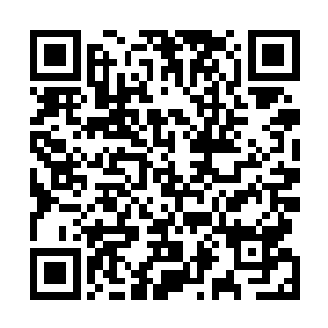 其背后所展现出的庞大底蕴…我就知道自己报不了这仇了二维码生成