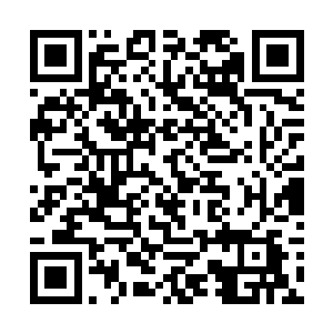 其脖子缩短到其此刻模样如同就是双肩中间扛一脑袋二维码生成