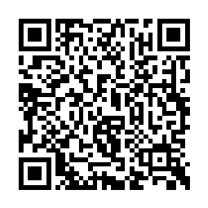 其舆论所造成的恐慌和破坏性远远大于末世本身二维码生成