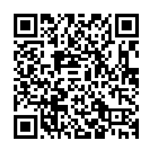 其被小加藤君之前踩碎膝盖骨的那条腿被用两个木板简单固定着二维码生成