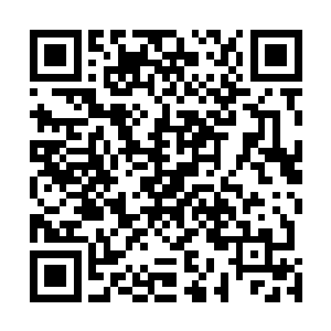 其规模比当初山德鲁施展的黑夜天幕庞大了不知道多少倍二维码生成