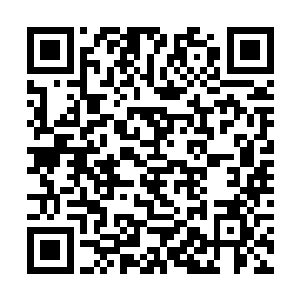 其身后拖着的小山也不断被周围伸来的触手施以拖拽二维码生成