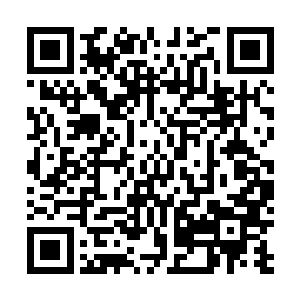 其身后的那头本是洁白无瑕的白泽神兽似乎也被血色所染二维码生成