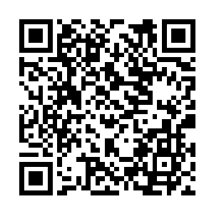 其身后那面黑白相间的虎煞相势霍然变得巨大起来二维码生成