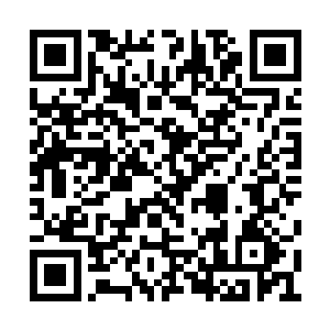 其锋利的爪子在地上抓出一道道触目惊心的抓痕二维码生成