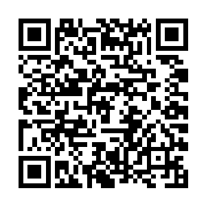 其门下家族子弟许多都觉醒了神农氏一系的先祖血脉二维码生成