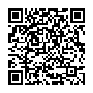 其间还可以观察出到底可以用谁接替高俅掌握禁军二维码生成