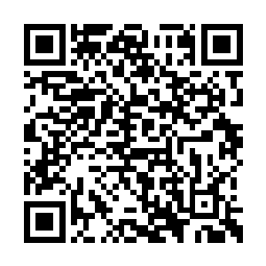 具体的宗门的建设肯定要交给天龙宗的人进行了二维码生成