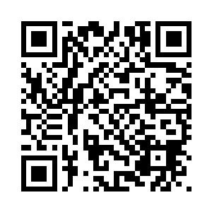 具体细分并不说明绿伊血魔的侍女二维码生成