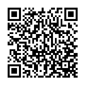 具备这种将混沌之气转化成天地元力的能力说简单也简单二维码生成