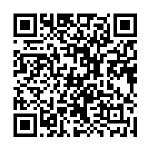 典雅的绿化让整个休闲山庄被秀气地分割成不同小区块二维码生成