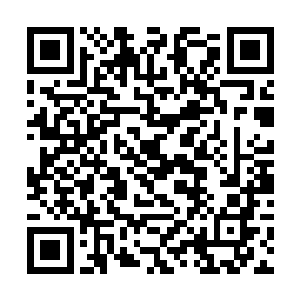 养尊处优的生活让他们避免了江湖外面很多的杀戮等二维码生成