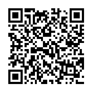 养成了她跋扈嚣张为所欲为想要什么便一定要得到的性二维码生成