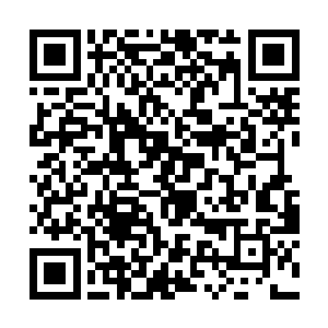 养老院内的老兵们本身也有非常多的渠道来反应问题二维码生成