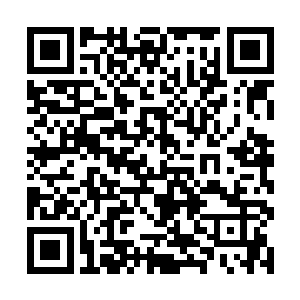 养虎为患……养一只老虎也就够了……这只怎么能养二维码生成