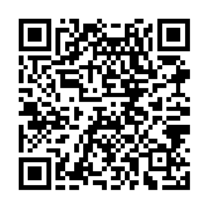 养鬼道在我这一代连道统里最厉害的一环都快没了二维码生成