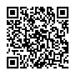 养魂组和炼魂组基本已经被华国政府瓦解的七七八八二维码生成