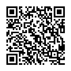 兼具了热带雨林的茂密植被与温带草原的高阔天空的理想丛林二维码生成