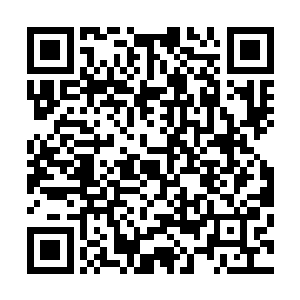 兽园里的火灵蜂还有种植在兽园旁边的赤阳花都疯长了起来二维码生成