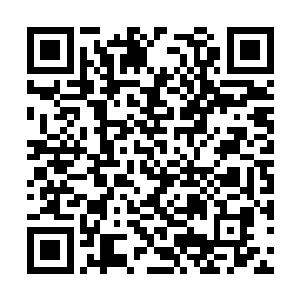 兽族强者从羊羽天口中得知了天翼神虎的消息之后二维码生成