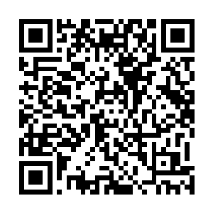 兽王大战其实就是为了能够让驭兽斋这个节目更加的精彩二维码生成