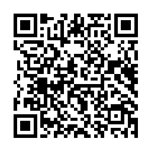 兽神殿乃是上古年间四大至强者之一的天翼神虎铸造二维码生成