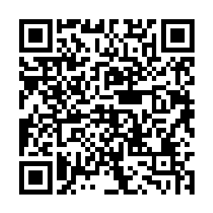 内中蕴含的庞大能量在一瞬间将他的所有生机摧毁二维码生成
