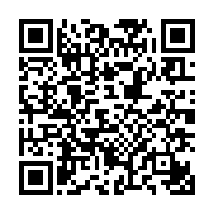 内天地的那新生的天道的气息也是变得越来越浓郁起来二维码生成