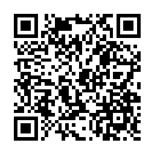 内心深处竟然生出了一丝丝连自己都难以觉察的……期待二维码生成