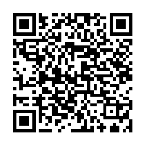 内心里已经将regedit当成了自己这辈子的神级偶像二维码生成