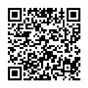 内斗结束仅剩的路易陛下居然还遇到了爆炸……二维码生成