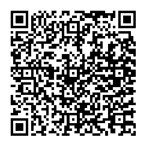 内维尔家族至少有两个人对罗恩的父亲巴里的关系相当不友好的……而这两人则分别控制着内维尔家族的政二维码生成